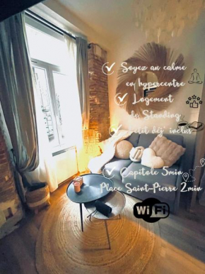 Appartement cosy en hypercentre